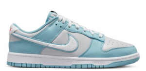 Buty Nike SB Dunk Nike Dunk Fleece Swoosh FB1871-011