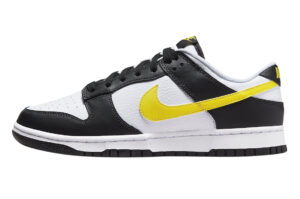 Buty Nike Dunk Low FQ2431-001