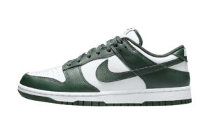 Buty Nike Dunk Low DD1391-101