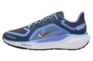 Buty Nike Pegasus 41 GORE-TEX FQ1357-400