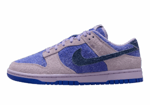 Buty Nike Dunk Low Retro HQ3431-515